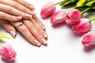 Mükemmel Fransız manikürlü ve beyaz arka planda pembe laleli kadın elleri.