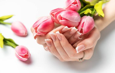 Mükemmel Fransız manikürlü, beyaz arka planda pembe laleler tutan kadın elleri.