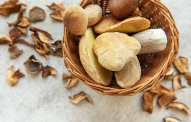 Kurumuş mantar dilimleriyle çevrili hasır sepetinden dökülen taze porcini mantarları sonbaharda durgun bir hayat yaratıyor.