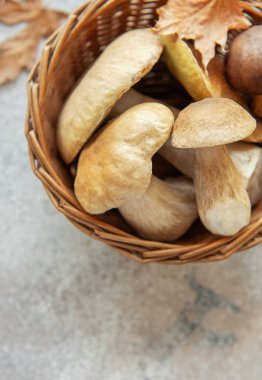 Hasır sepet, güz yapraklarıyla bezenmiş taze domuz mantarlarıyla dolu, sonbahar mevsiminin sıcaklığını çağrıştırıyor.