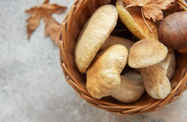 Yenebilir mantar ve kuru sonbahar yapraklarıyla dolu sepet sonbahar hasadını kutluyor.