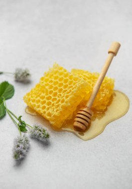 Baldan bal damlayan bal petekleri ahşap ballı ve açık arkaplanda nane çiçekleri