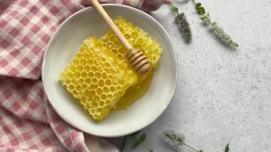 Bal, bal ayıcığından damlıyor beyaz bir arka planda bal peteğine