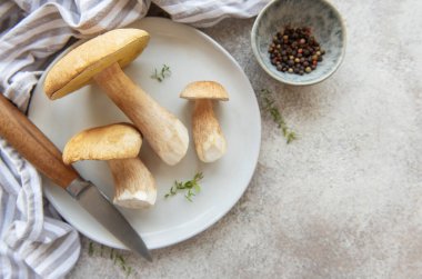 Taze porcini mantarları kekik, bıçak ve biberli bir tabakta yemek ve baharat için hazırlar.