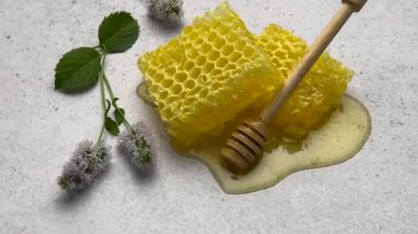 Beyaz arka planda naneli bal petekleri ve bal çubuğu