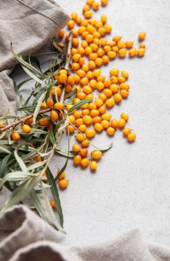 Olgun portakallı deniz dikenli üzümleri keten bir kumaşın üzerine serpiştirilmiş bir dalla