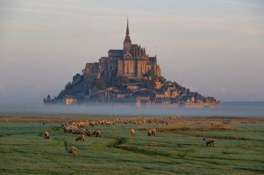 Le Mont Saint-Michel ve Koyun, Normandiya, Fransa 'nın güzel manzara manzarası.