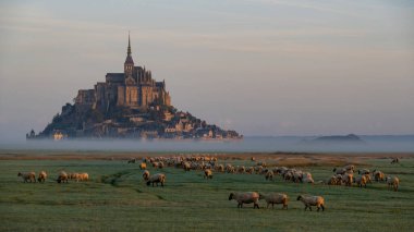 Le Mont Saint-Michel ve Koyun, Normandiya, Fransa 'nın güzel manzara manzarası.