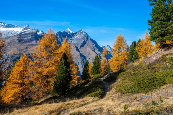 Krásný Výhled Krajinu Matterhorn Podzim Zermatt Švýcarsko Stock Obrázky