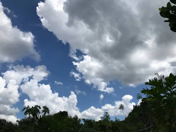 Bosque Con Nubes Hermoso Cielo Azul Bosque Denso Paisaje Verde — Foto de Stock