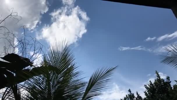 Timelapse Piękne Chmury Błękitne Niebo Chmurami — Wideo stockowe