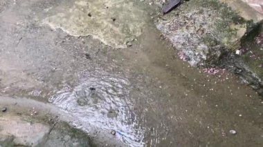 Su birikintisindeki yağmur damlaları. Şiddetli bir sağanak 4K 'lık yolu ıslattı