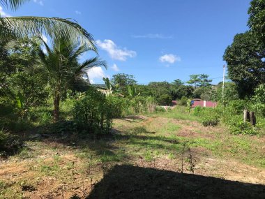 Yamaçtaki tarlalardan geçen toprak bir yolun kenarındaki kuru toprağı yardık.