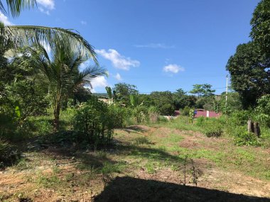 Yamaçtaki tarlalardan geçen toprak bir yolun kenarındaki kuru toprağı yardık.