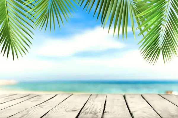 Tablet Kayu Kosong Dengan Pantai Yang Kabur Daun Palem Dengan Stok Gambar Bebas Royalti