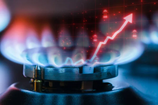 Natural gas cost growth concept with gas burners and stock charts