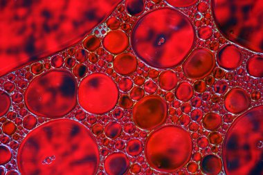 Liquid bubbles , macro bubbles in various colors, abstract backgrounds, oil beauty and science concept background