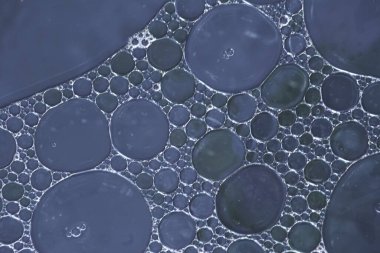 Liquid bubbles , macro bubbles in various colors, abstract backgrounds, oil beauty and science concept background