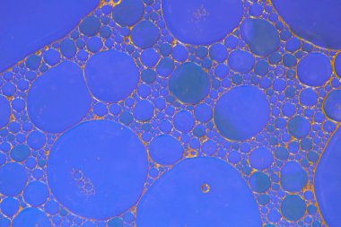 Liquid bubbles , macro bubbles in various colors, abstract backgrounds, oil beauty and science concept background