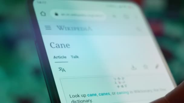 Looking Smartphone Read Information Cane — Stok video