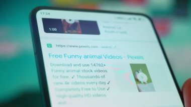 Smartphone in hand, looking for information about funny animals.