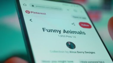 Smartphone in hand, looking for information about funny animals.