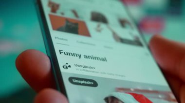 Smartphone in hand, looking for information about funny animals.