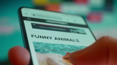Smartphone in hand, looking for information about funny animals.