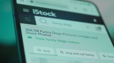 Smartphone in hand, Im looking for information on the internet about funny dog.
