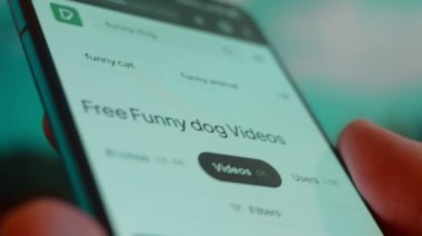Smartphone in hand, Im looking for information on the internet about funny dog.