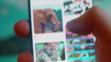 Smartphone in hand, looking for information about zoo animals.