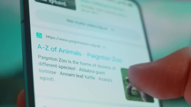 Smartphone Hand Looking Information Zoo Animals — Video