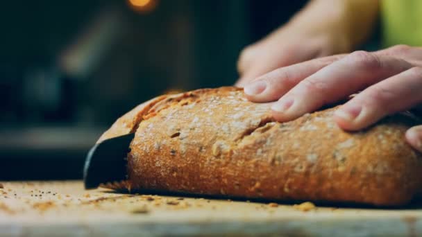 Γυναίκα Κόβει Φρέσκο Ψωμί Φρεσκοψημένο Ψωμί Σπόρους Στο Βάθος Είναι — Αρχείο Βίντεο
