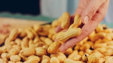 Kadın retro tepsisindeki fıstıkları soyuyor. Makro kaydırma atışı.