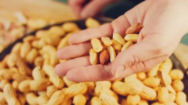 Kadın retro tepsisindeki fıstıkları soyuyor. Makro kaydırma atışı.