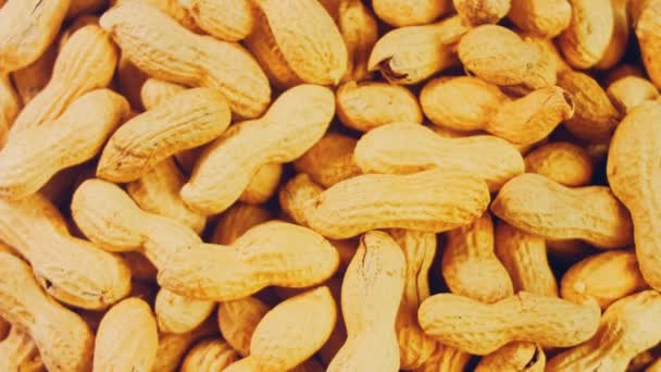 Geschälte Erdnüsse Auf Einem Retro Tablett Peanuts Hintergrund Schießen — Stockvideo