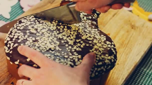 Kobieta Kroi Ciasto Czekoladowe Nożem Tle Czystki Wielkanocy Wykonane Papieru — Wideo stockowe