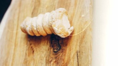 Kremalı puf böreği. Pasta yuvarlaktır. Makro çekim.