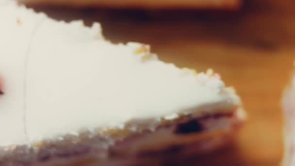 Kawałki Różnych Ciast Tacy Pieczenia Stylu Retro Zdjęcia Suwakowe Makro — Wideo stockowe