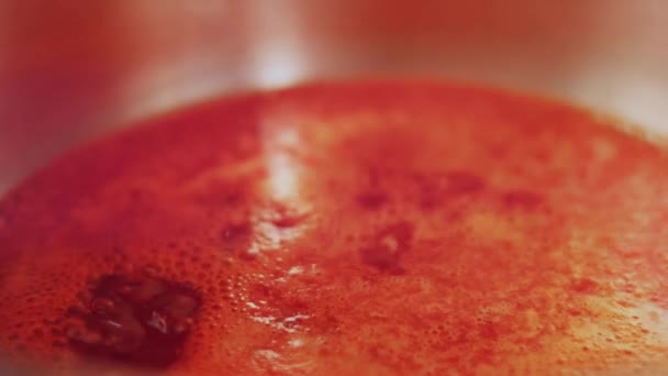 Process Preparing Chili Sauce — Stock Video