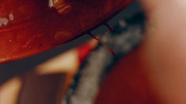 hallucination effect of Favorite chocolate Cake with Nutella Buttercream and Strawberries. Taste USA cuisine.