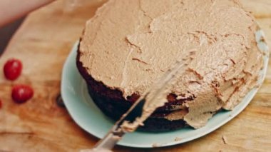 hallucination effect of Favorite chocolate Cake with Nutella Buttercream and Strawberries. Taste USA cuisine.