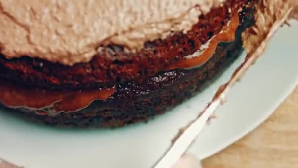 Hallucination Effect Favorite Chocolate Cake Nutella Buttercream Strawberries Taste Usa — Stok video