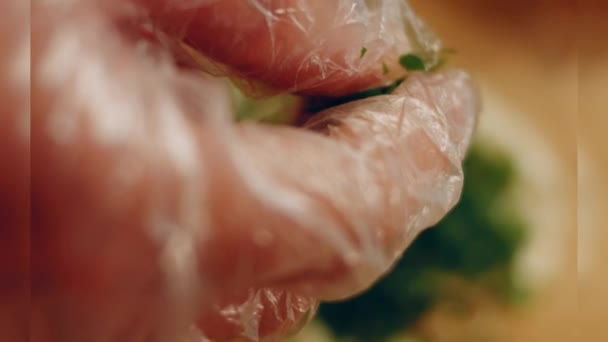 Preparing Process Cinematographic Smoked Salmon Bagels Usa Cusine — 비디오