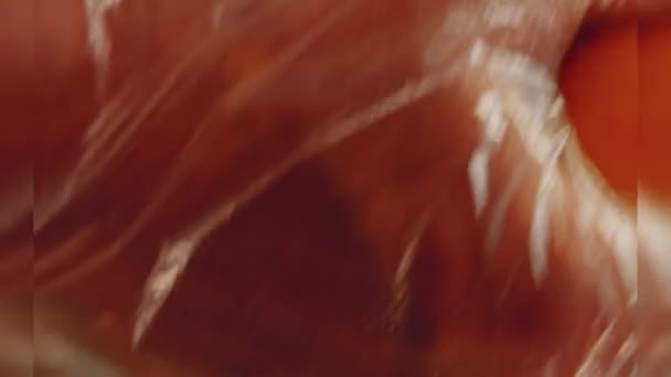 Preparing Process Cinematographic Smoked Salmon Bagels Usa Cusine — Videoclip de stoc