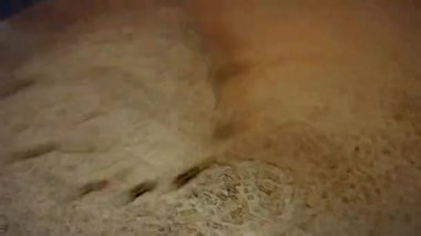 Preparing process of Old Time Custard Ice Cream, Transition effect between cartoons and real film .