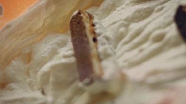 Preparing process of Old Time Custard Ice Cream, Transition effect between cartoons and real film .