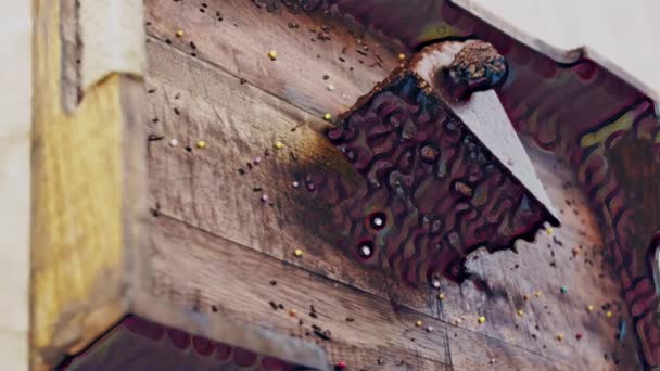 费雷罗罗切蛋糕 放在有装饰品的木制托盘上 — 图库视频影像