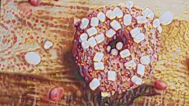 Розовые Пончики Украшенные Маршмелло Макро Слайдер Съемки Концепция Хлебобулочных Изделий — стоковое видео