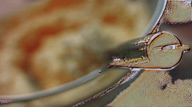 Pasta yapmak için hamur işini pişirin. Pound Cake yapıyorum.